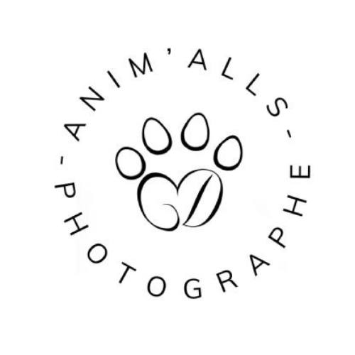 animalls-photographe-sarthe