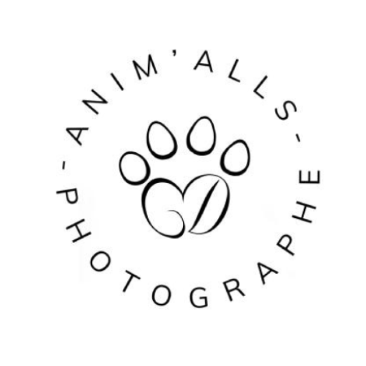 photographe chien et chat en sarthe
